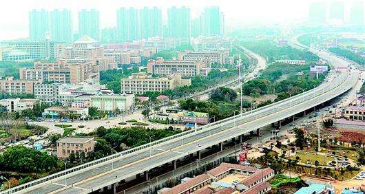 湖北:武汉1500株名贵树木要“搬家”