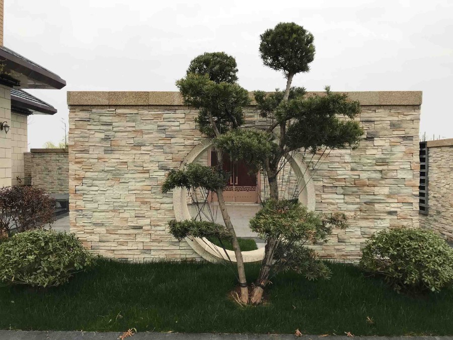 20180318_img_3284 拷贝.jpg