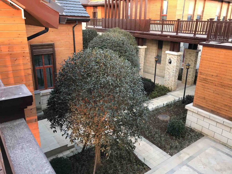 20171216_img_1572 拷贝.jpg