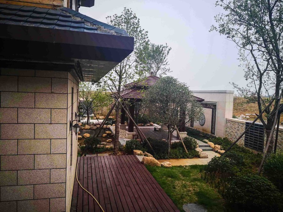 img_20181008_115654 拷贝.jpg