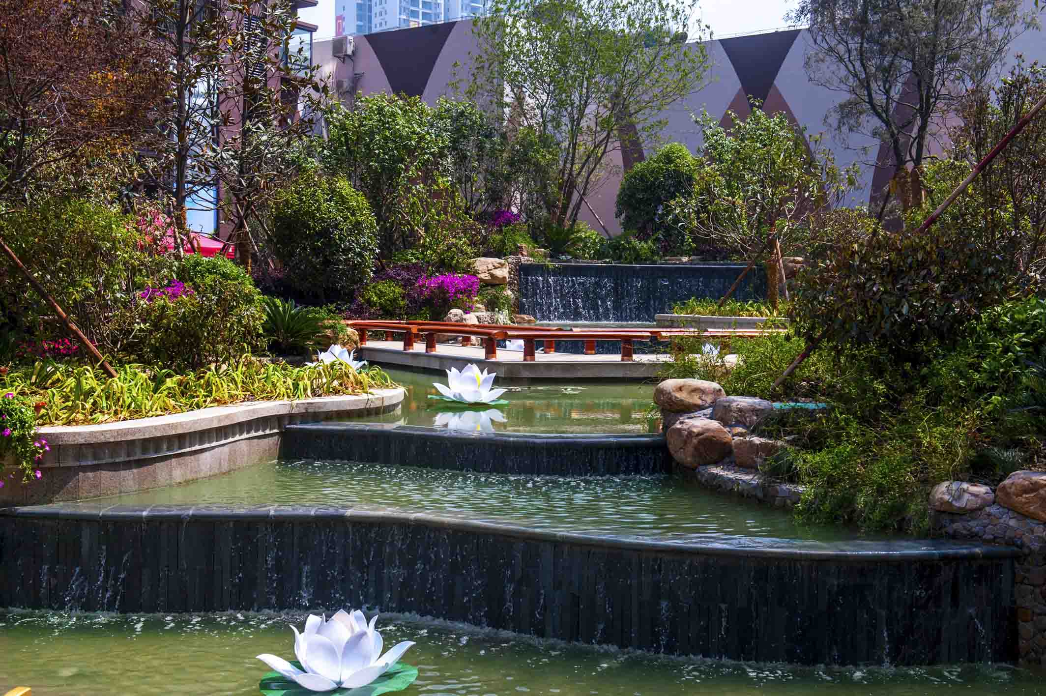 DSC_7672 拷贝.jpg DSC_7672 拷贝.jpg