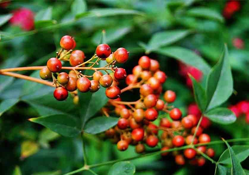 9009396_1435477404041_mthumb.jpg 9009396_1435477404041_mthumb.jpg