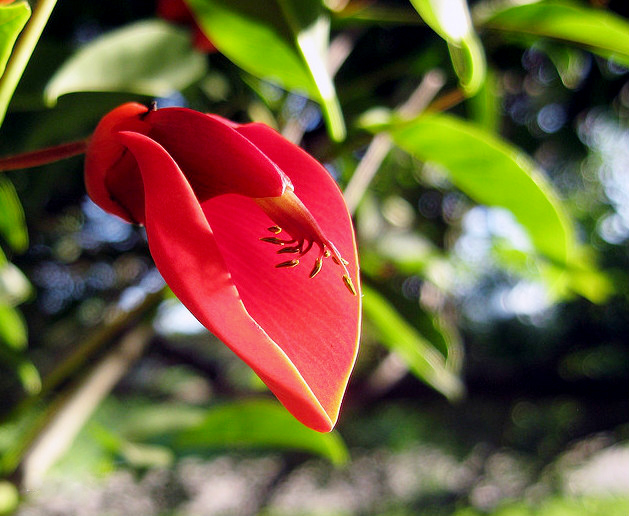 cdbf6c81800a19d8e231f87236fa828ba61e4692.jpg cdbf6c81800a19d8e231f87236fa828ba61e4692.jpg