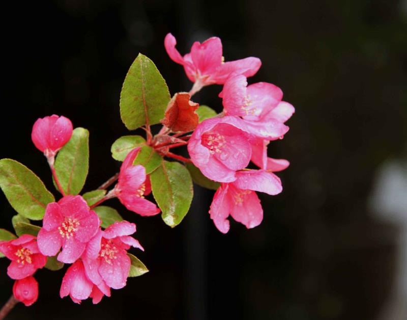 微信图片_20210105094128.jpg 微信图片_20210105094128.jpg